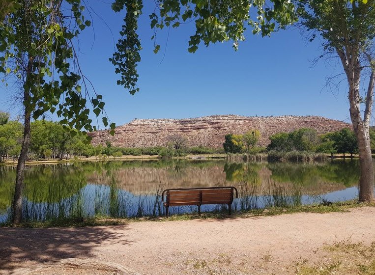 Verde River Greenway State Natural Area, Arizona, USA